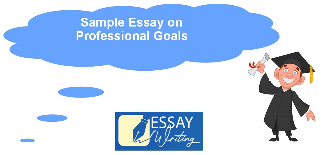 Sample Essay on Professional Goals | Homework Help Online